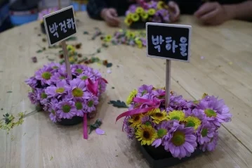 aa398a47e5ba31f3c5f6ae5c1c6979d9_1551413060_4756.jpg