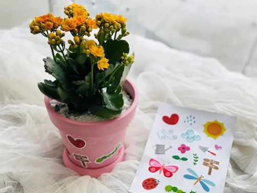 85f56ade5bb66a23e46d62d2ae30300a_1673318247_4153.jpg