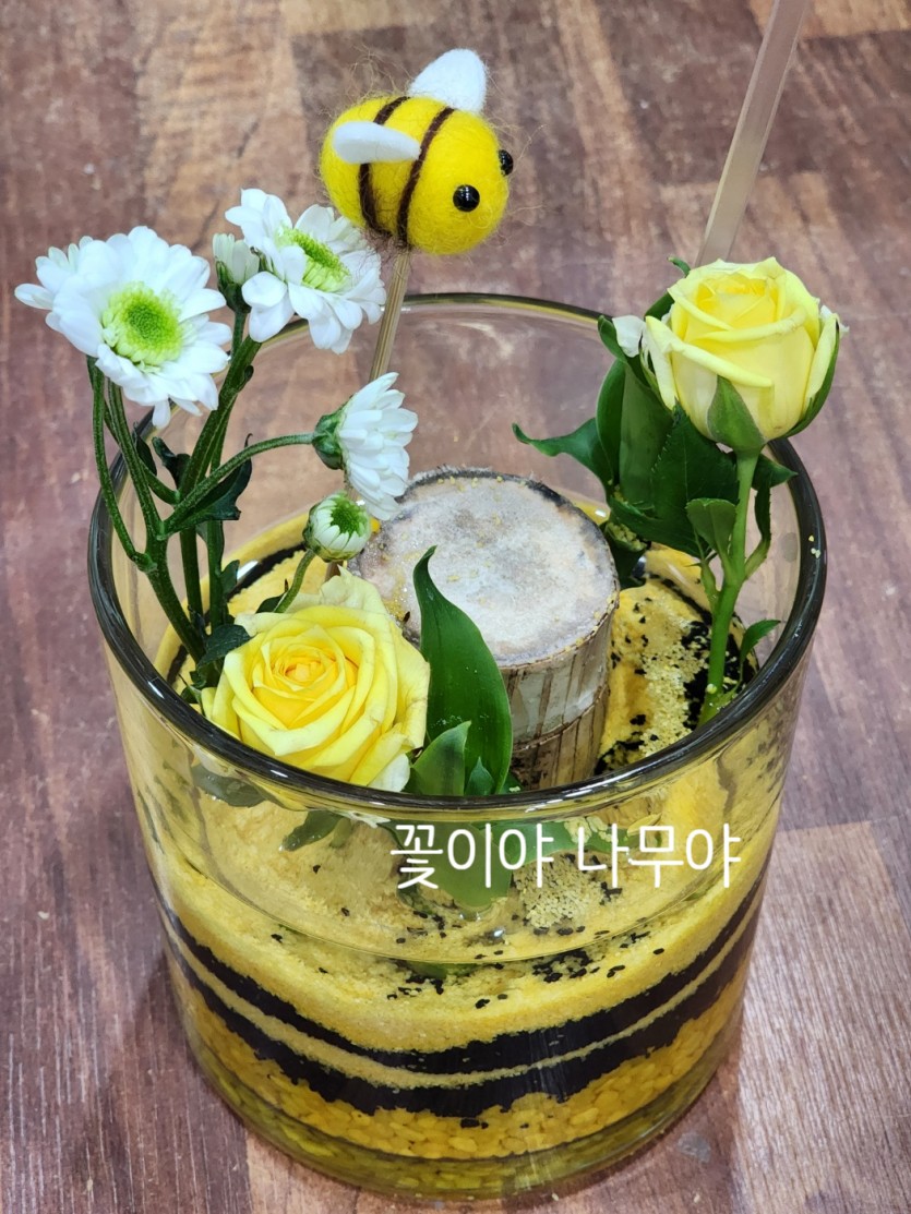 행운목 수경재 원예키트 · 사진 1