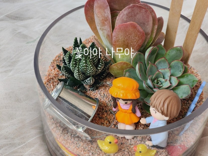 가을 테라리움 · 사진 1