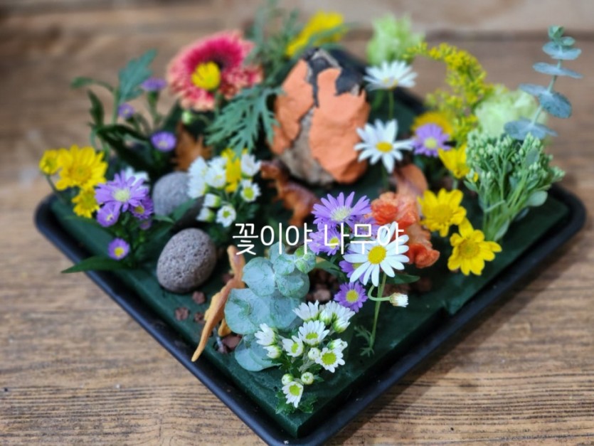 상상력 키우기 공룡은 왜 사라졌을까? · 사진 1