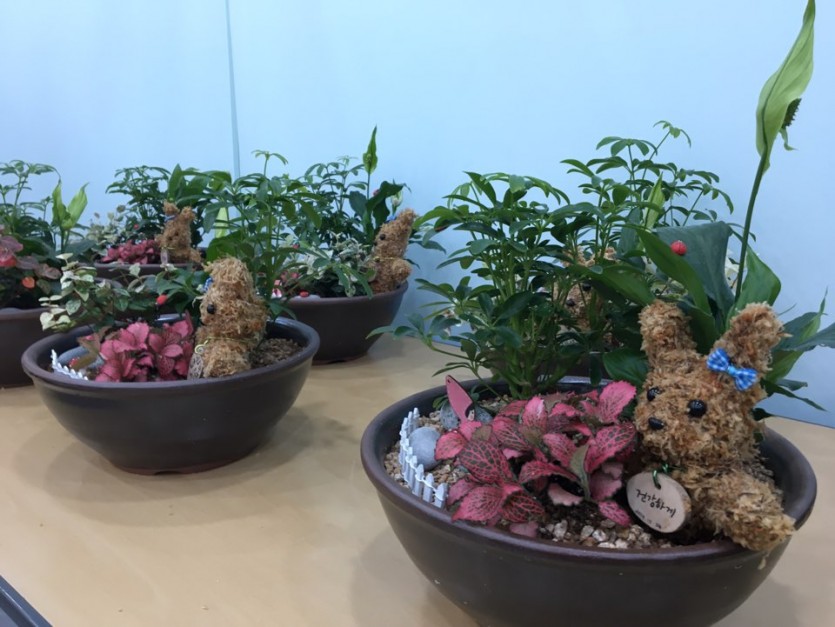 식물모아심기 · 사진 1