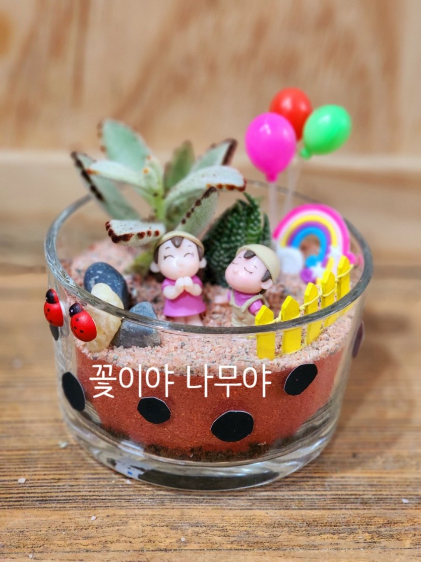 무당벌레 테라리움 · 사진 1
