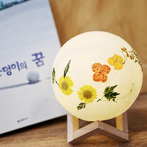 작은 눈덩이의 꿈 (중학생~성인) 대표 이미지