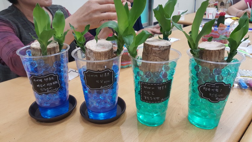 수경재배 원예치료 나에게 행운이란? · 사진 1