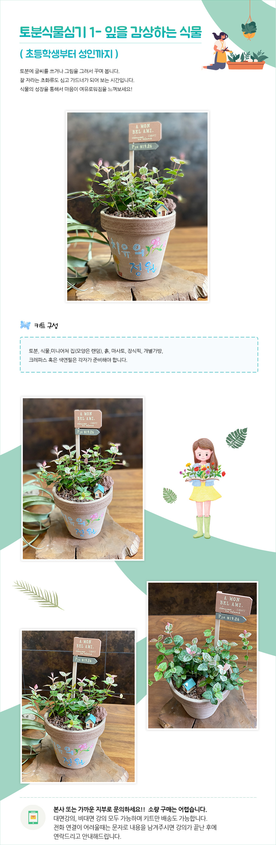 토분식물심기1-잎을 감상하는 식물 상세 안내 1
